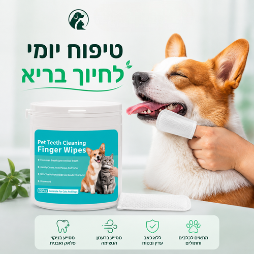 מגבונים דנטליים לניקוי השיניים