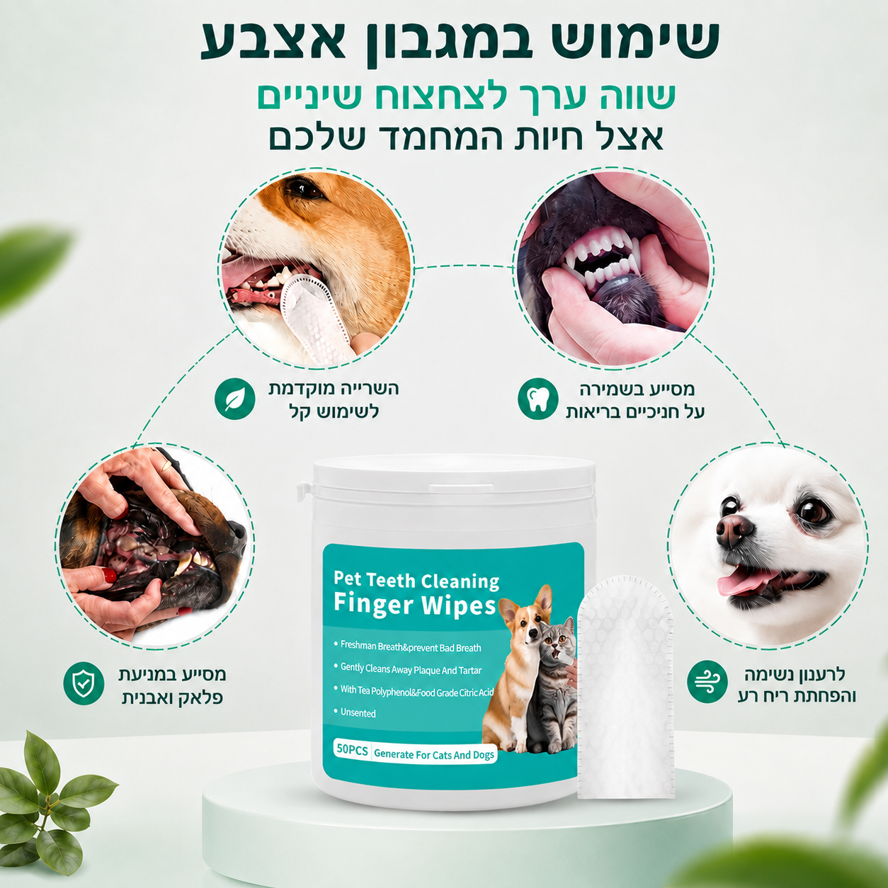 מגבונים דנטליים לניקוי השיניים