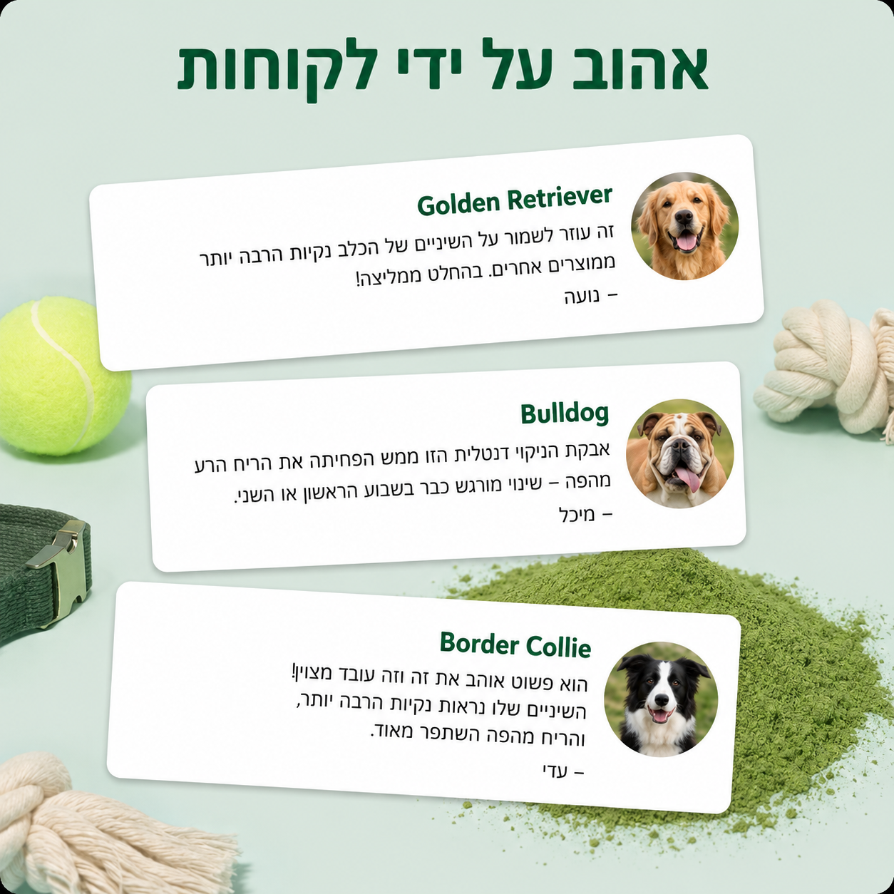 VeloDent-אבקה דנטלית טבעית