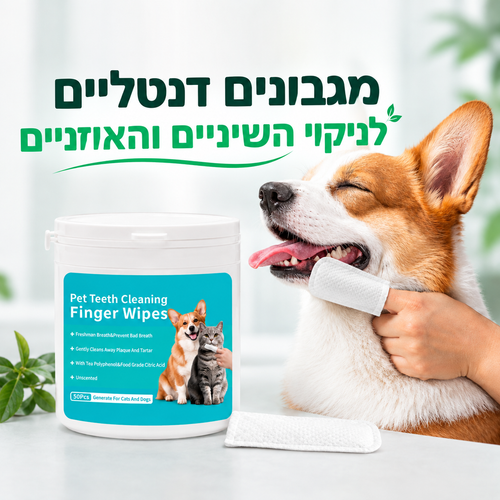 מגבונים דנטליים לניקוי השיניים והאוזניים