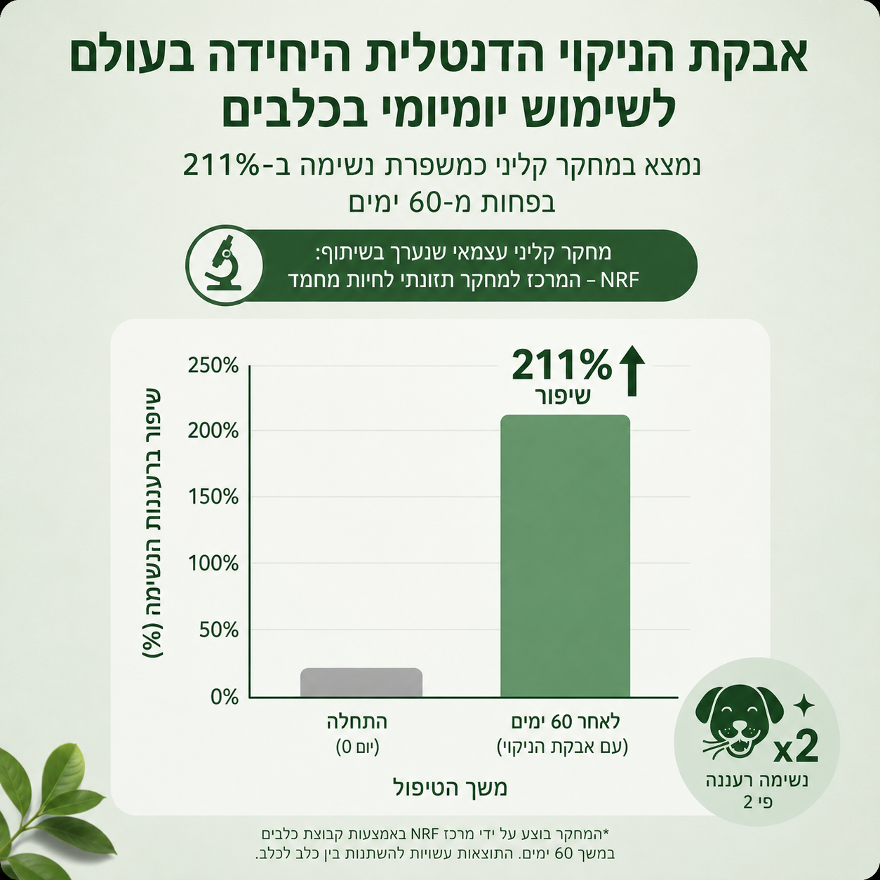 VeloDent-אבקה דנטלית טבעית